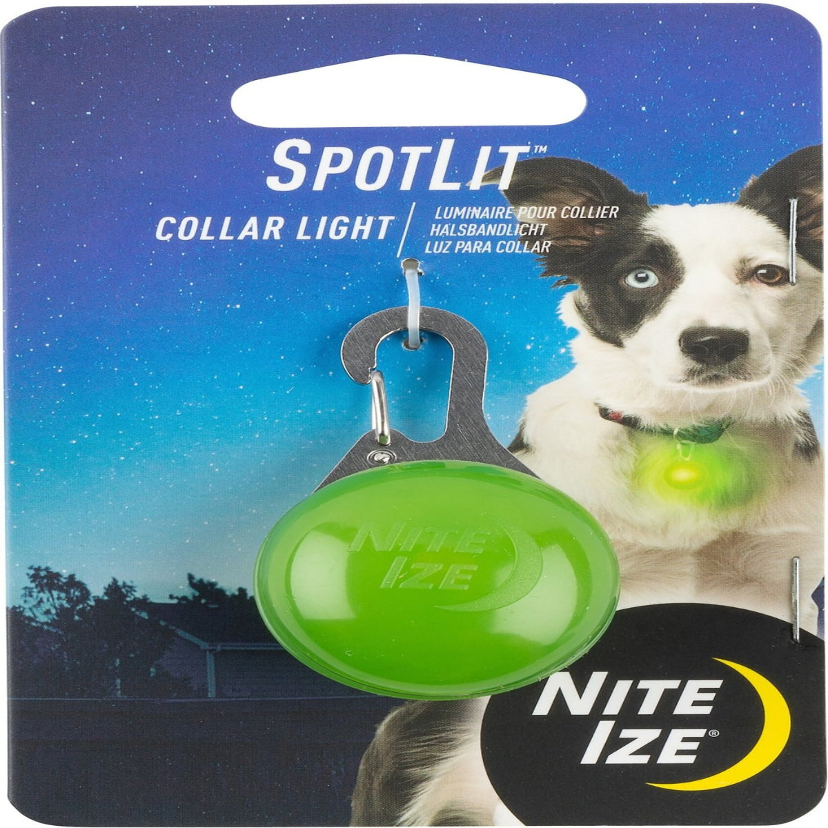 SpotLit Dog Light