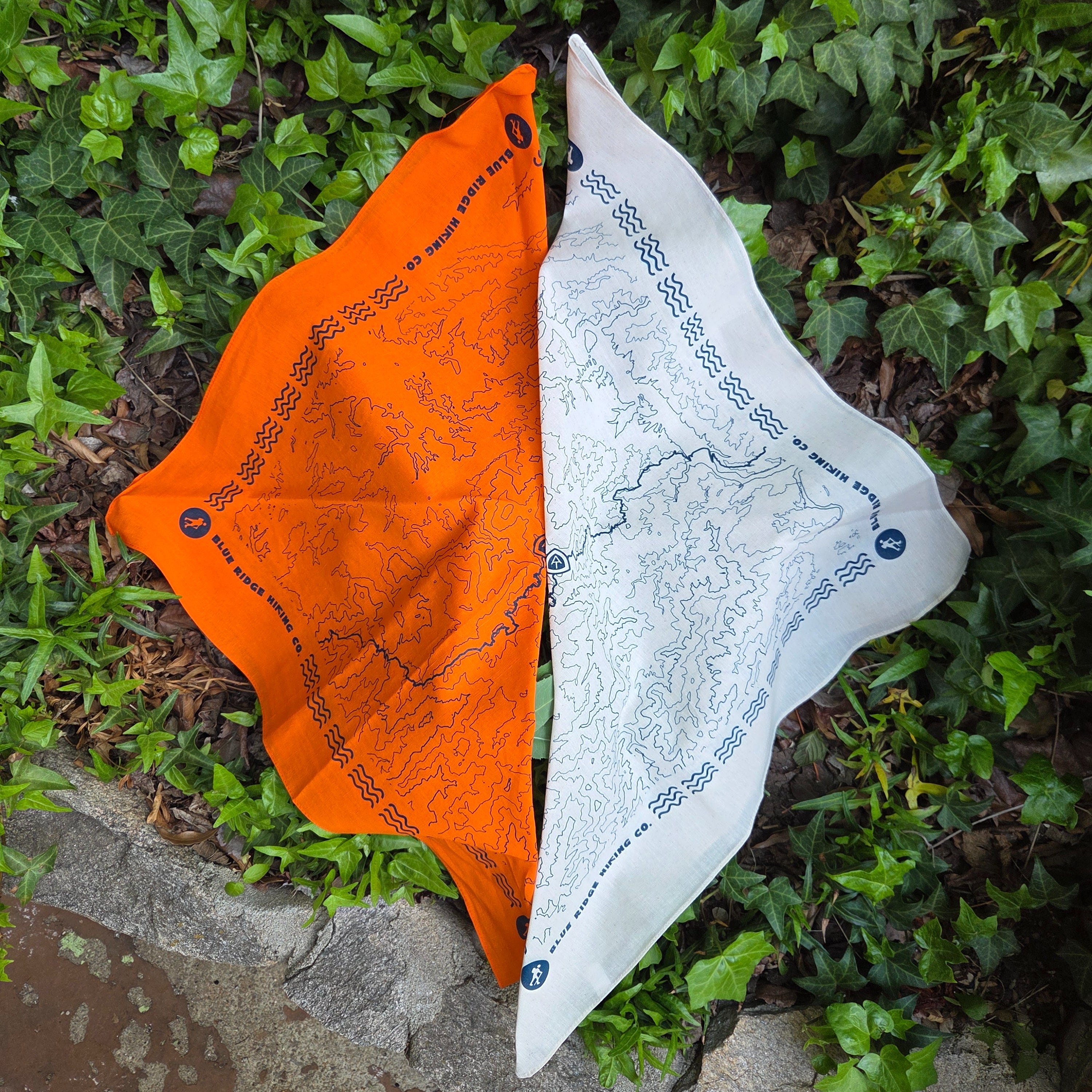 Topo Map Bandana