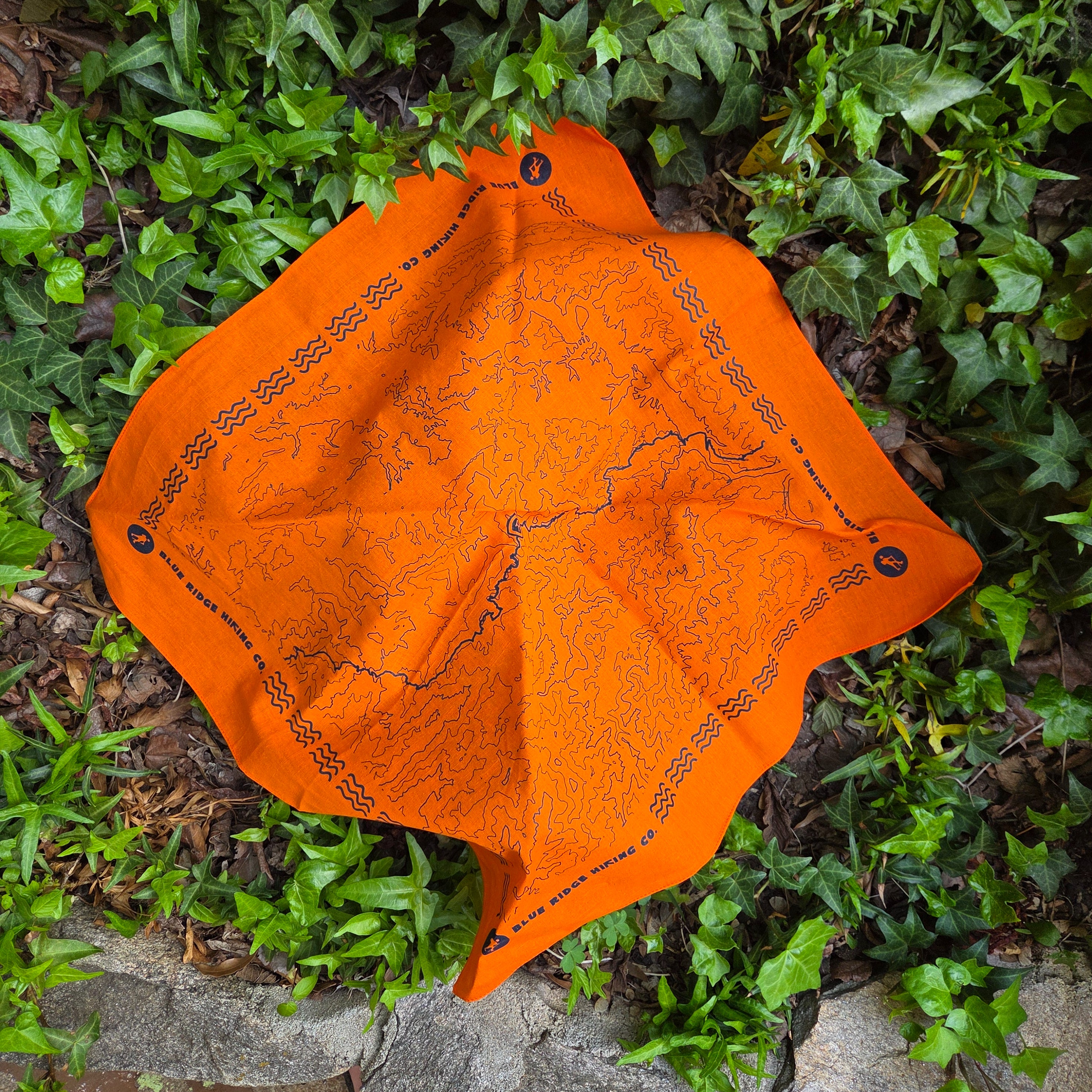 Topo Map Bandana