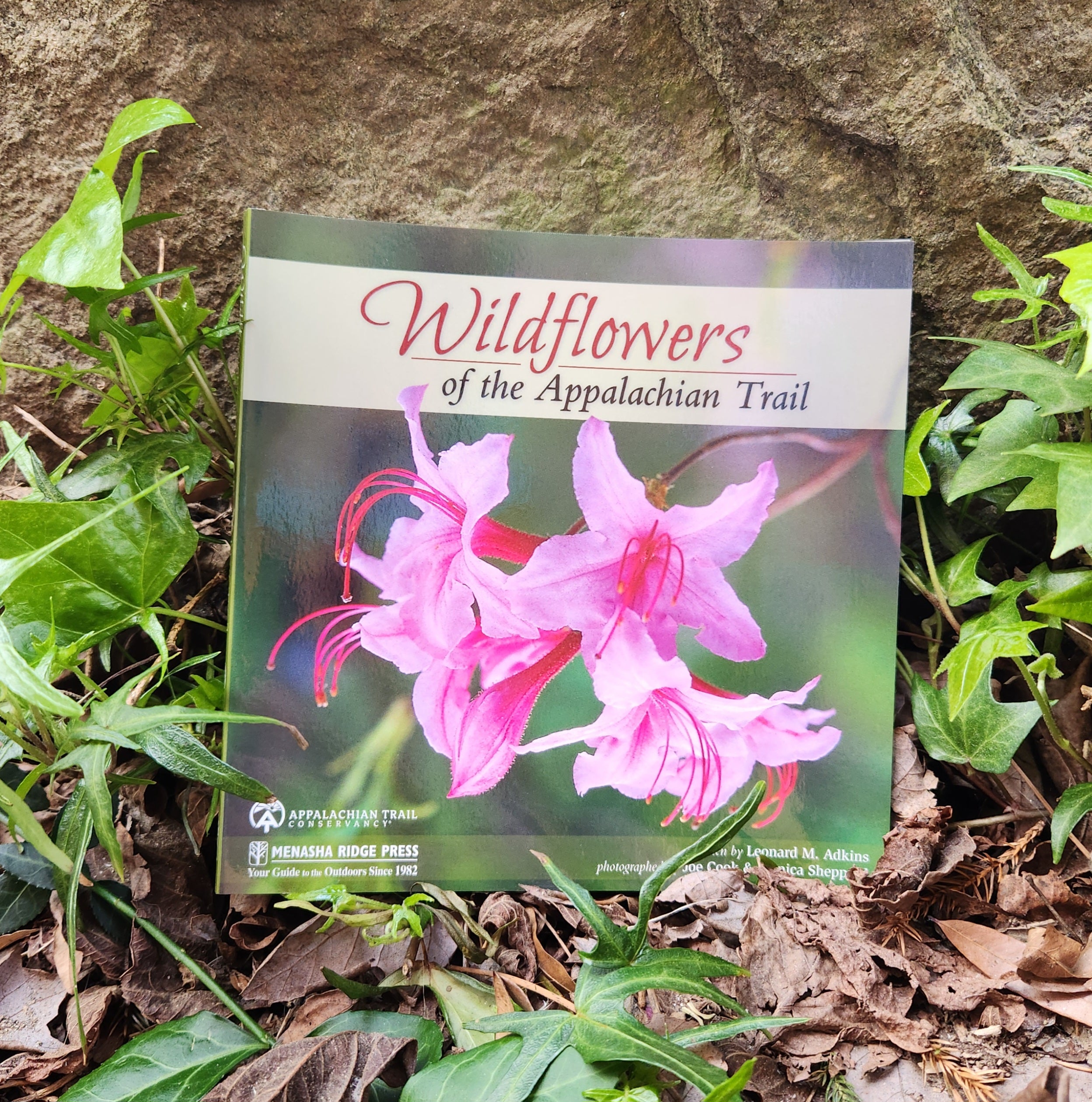Wildflowers of the Appalachian Trail