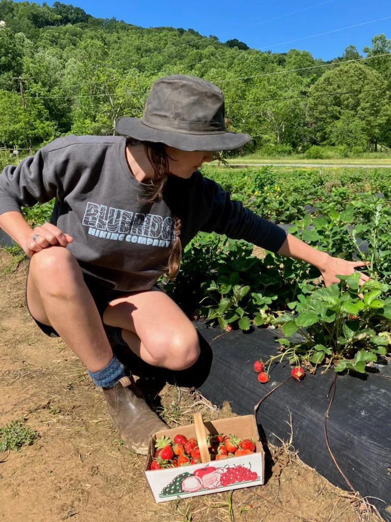 Blue Ridge Hiking Company Topo Logo Sweatshirt