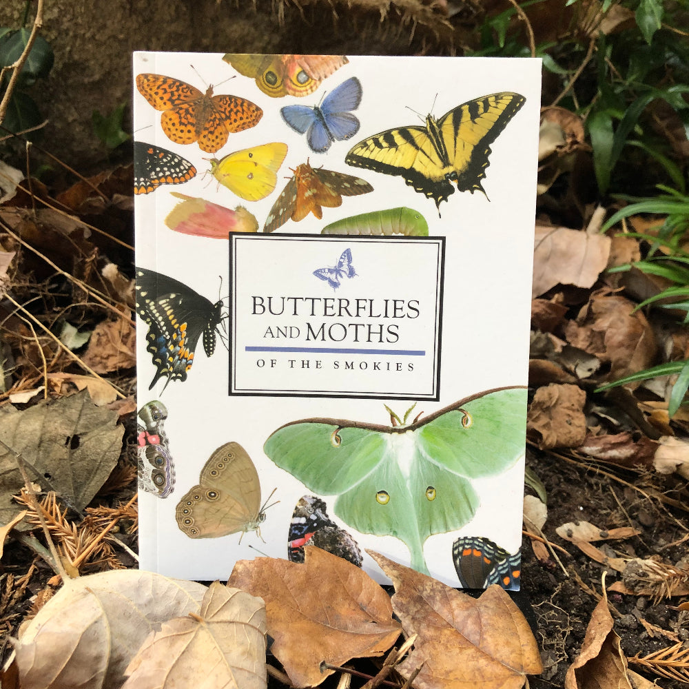 Butterflies and Moths of the Smokies