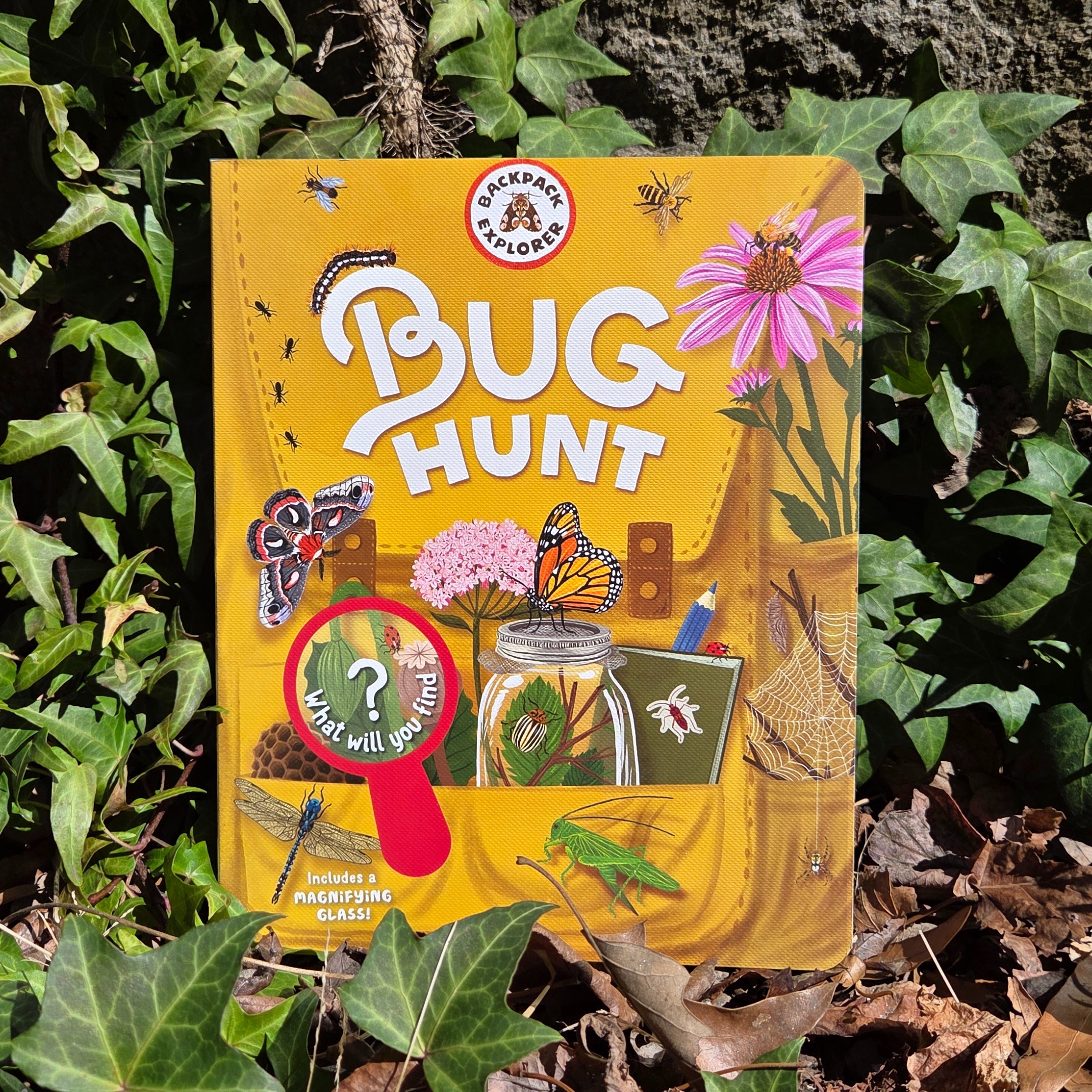 Bug Hunt