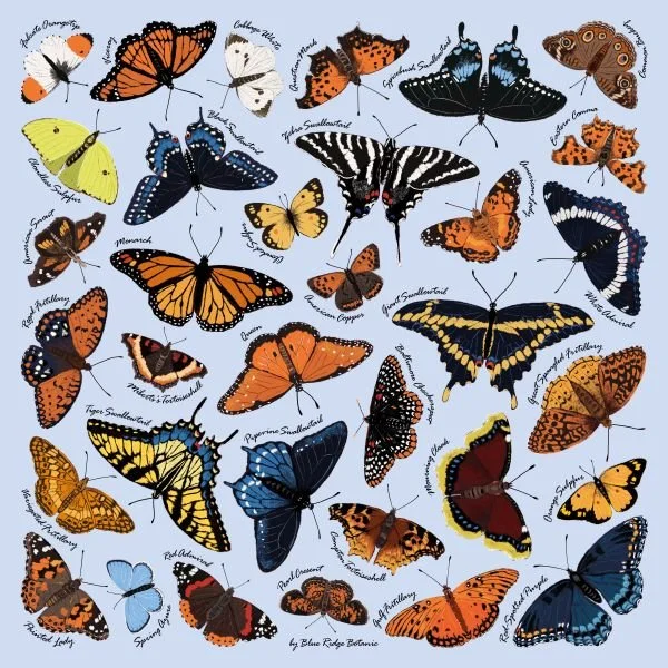 Field Guide Bandana to Eastern Butterflies