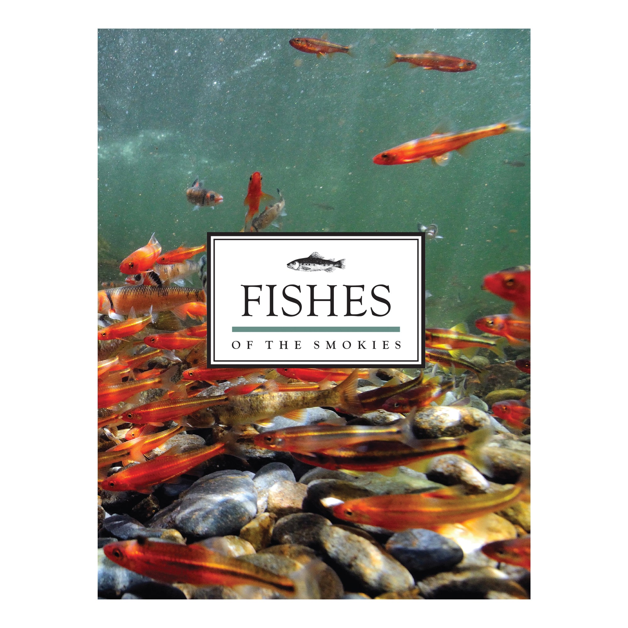 Fishes of the Smokies
