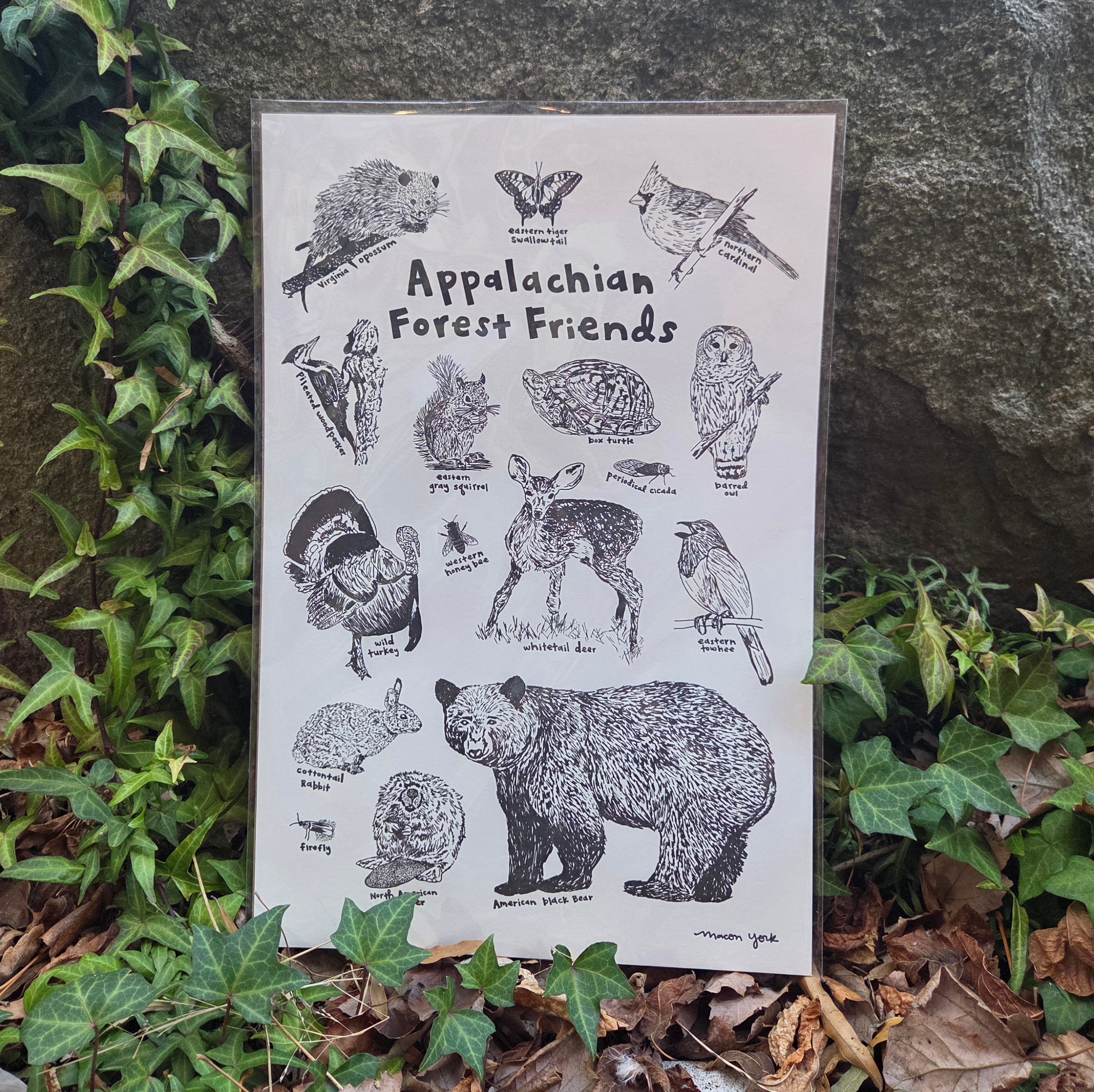 Appalachian Forest Friends Letterpress Print