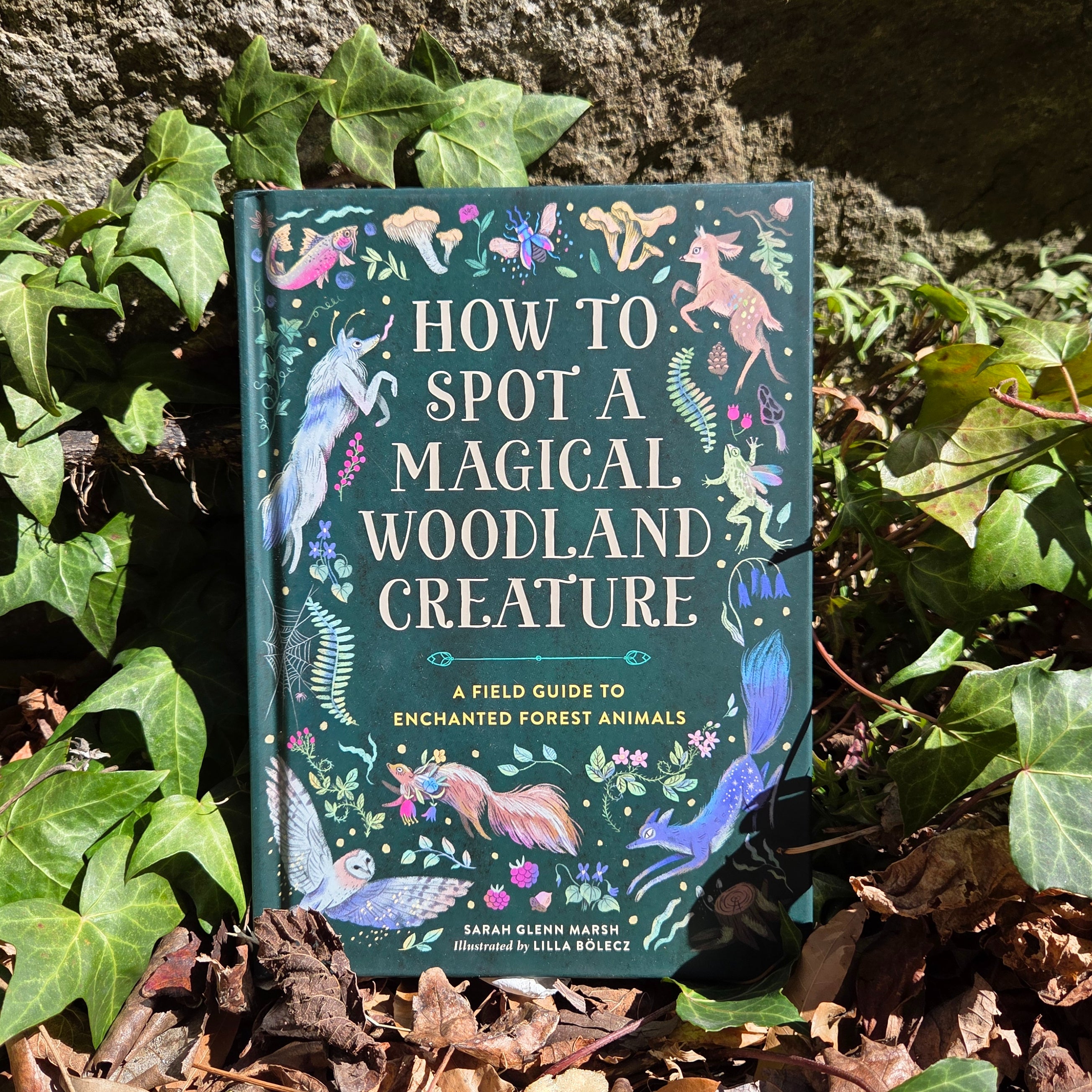 How to Spot a Magical Woodland Creature: A Field Guide to Enchanted Forest Animals