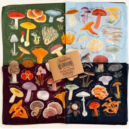 Field Guide Bandana of Appalachian Mushrooms