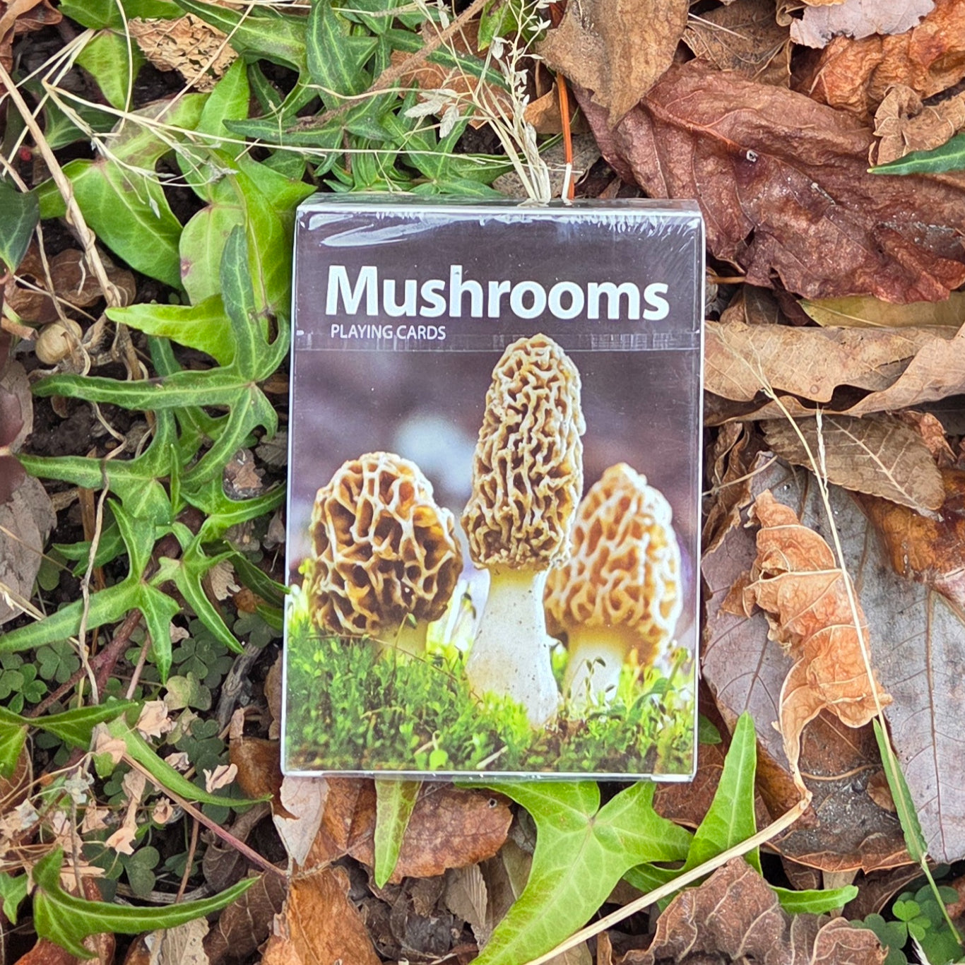 Mushroom Playing Cards