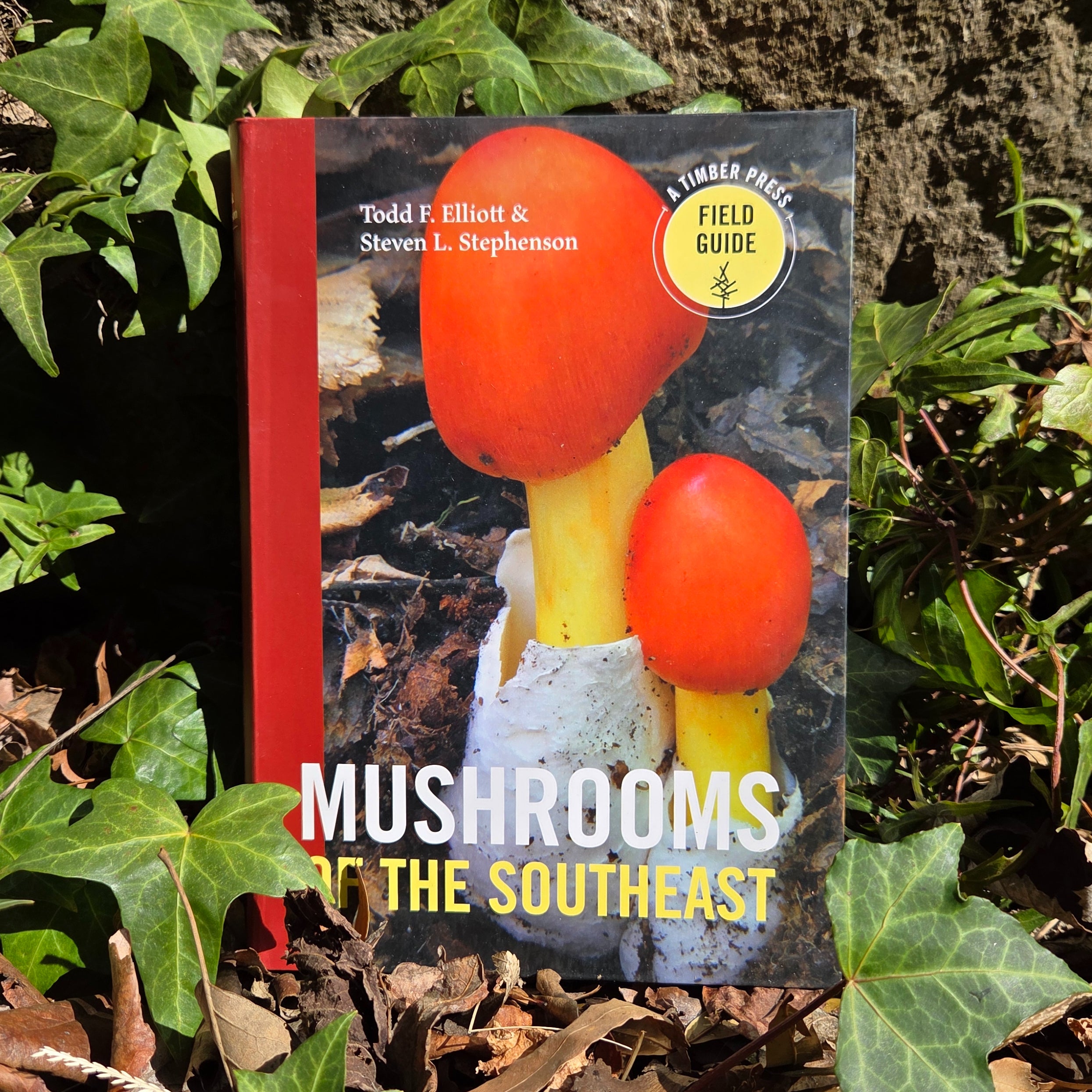 Mushrooms of the Southeast