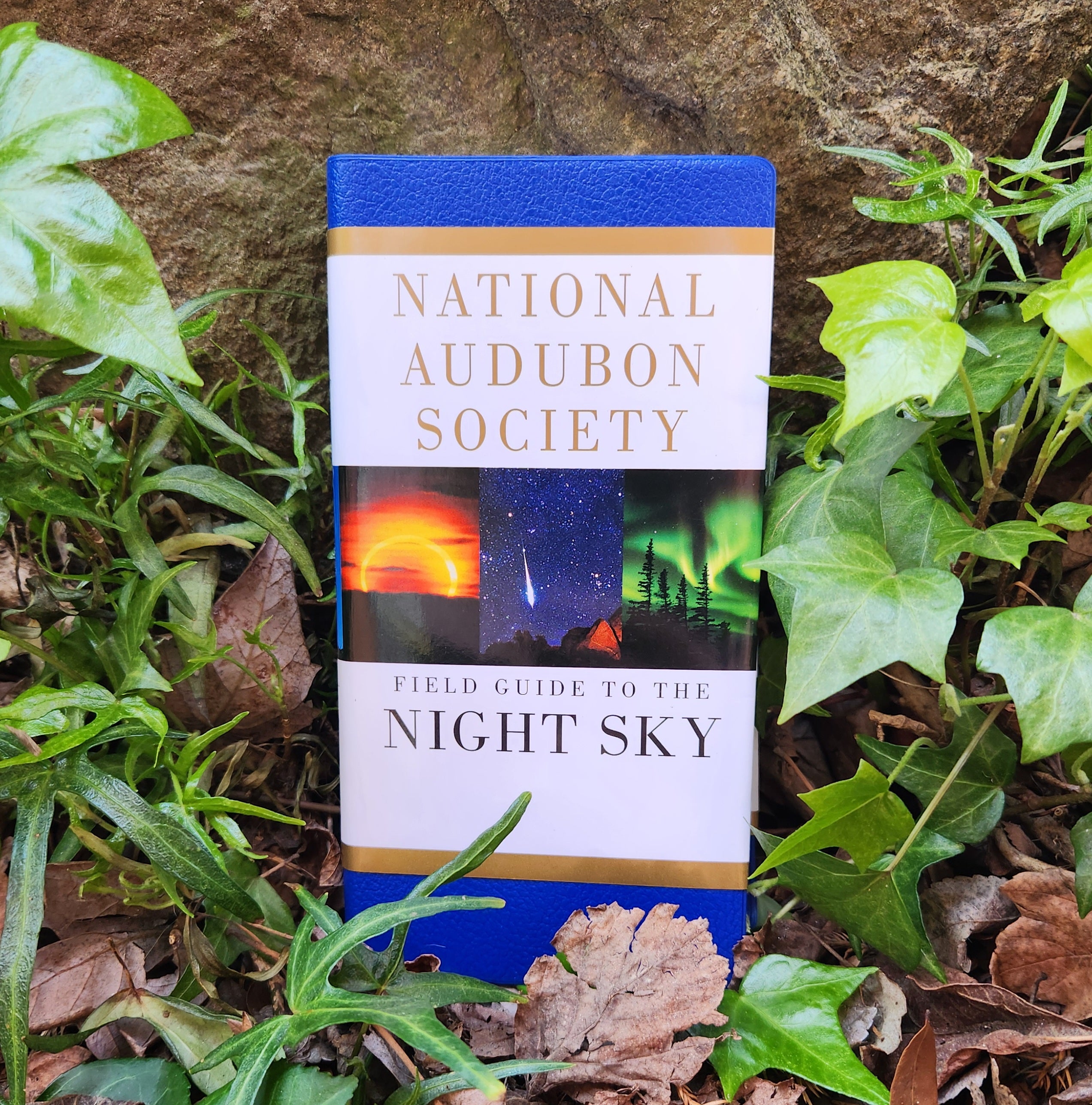 Field Guide to the Night Sky