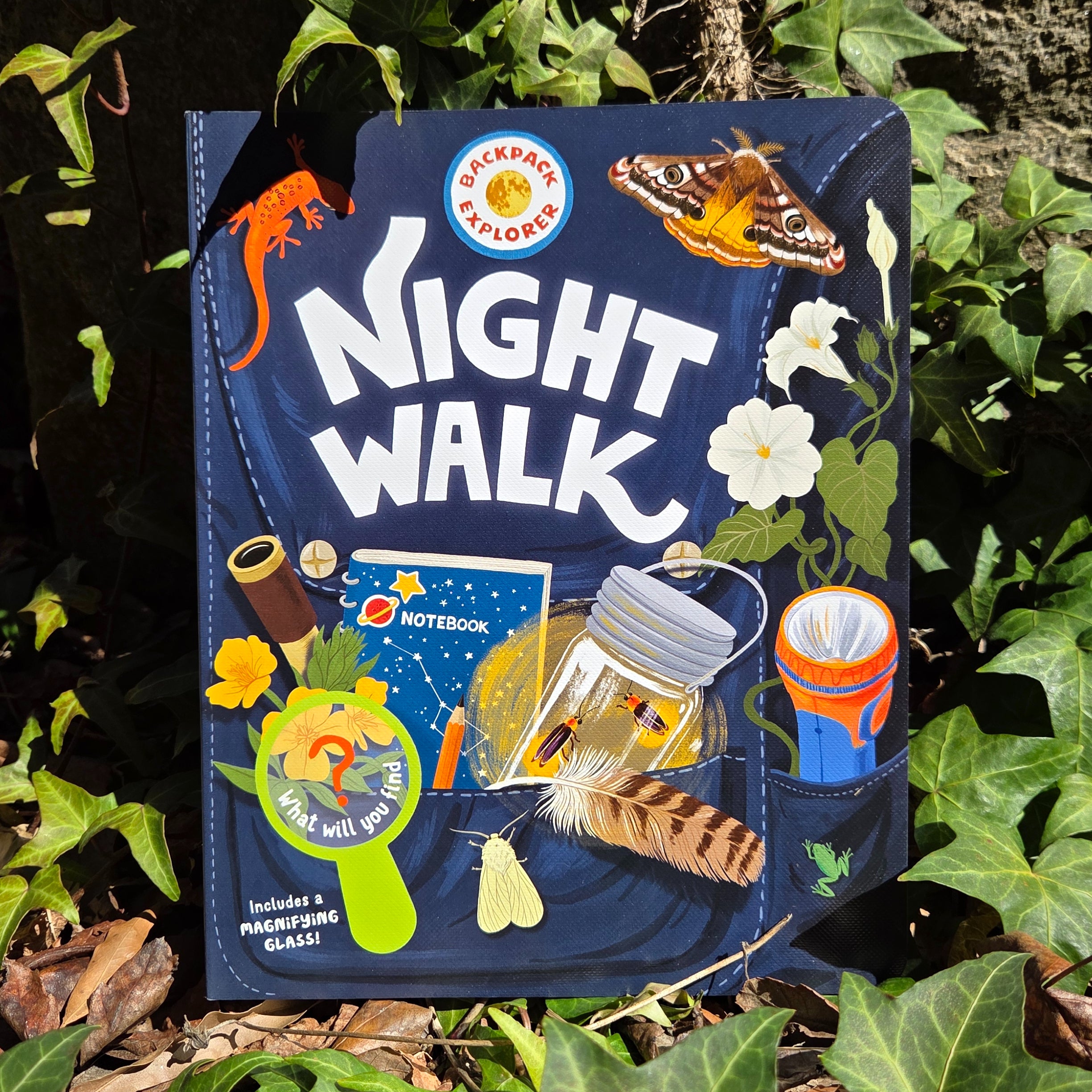 Night Walk
