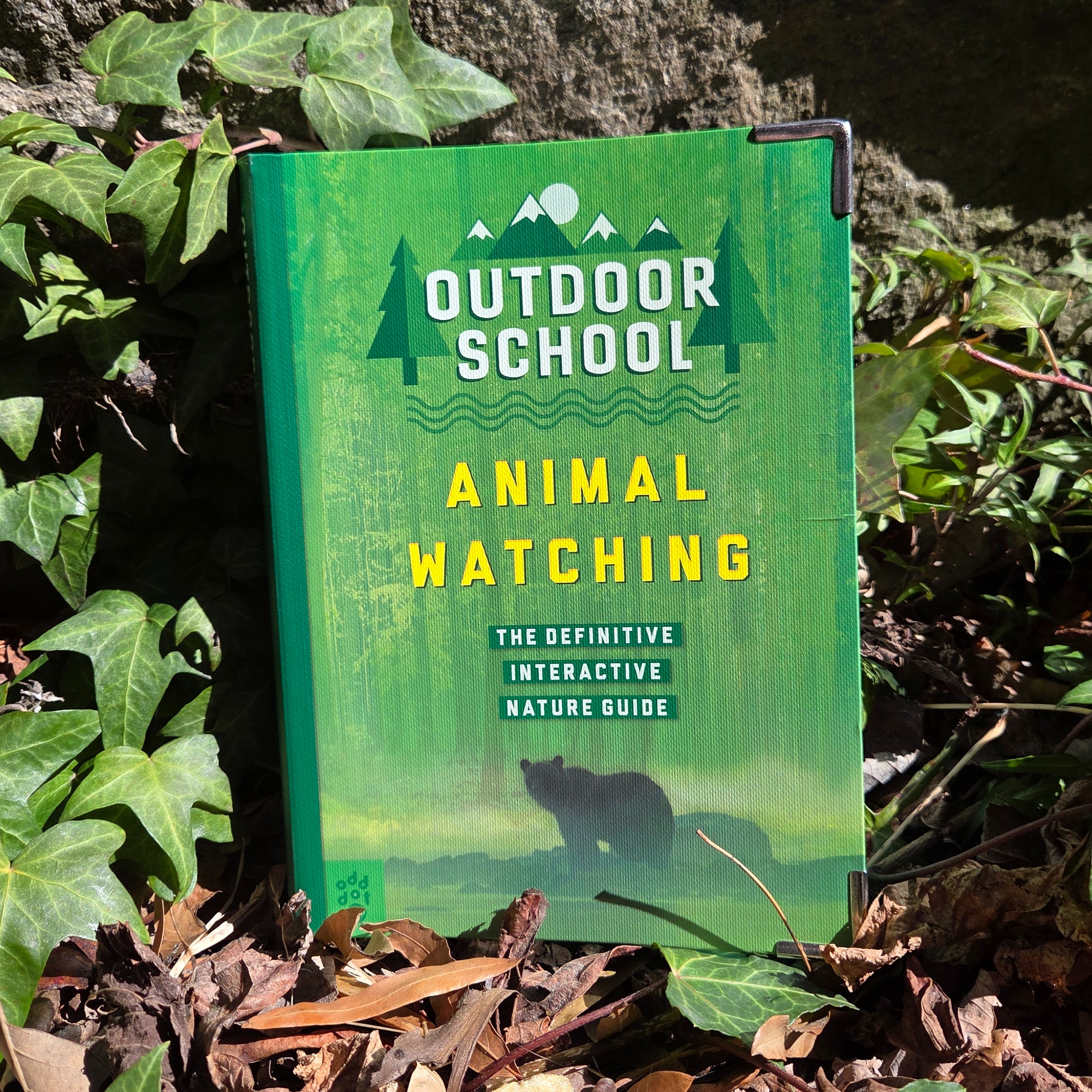 Outdoor School: Animal Watching