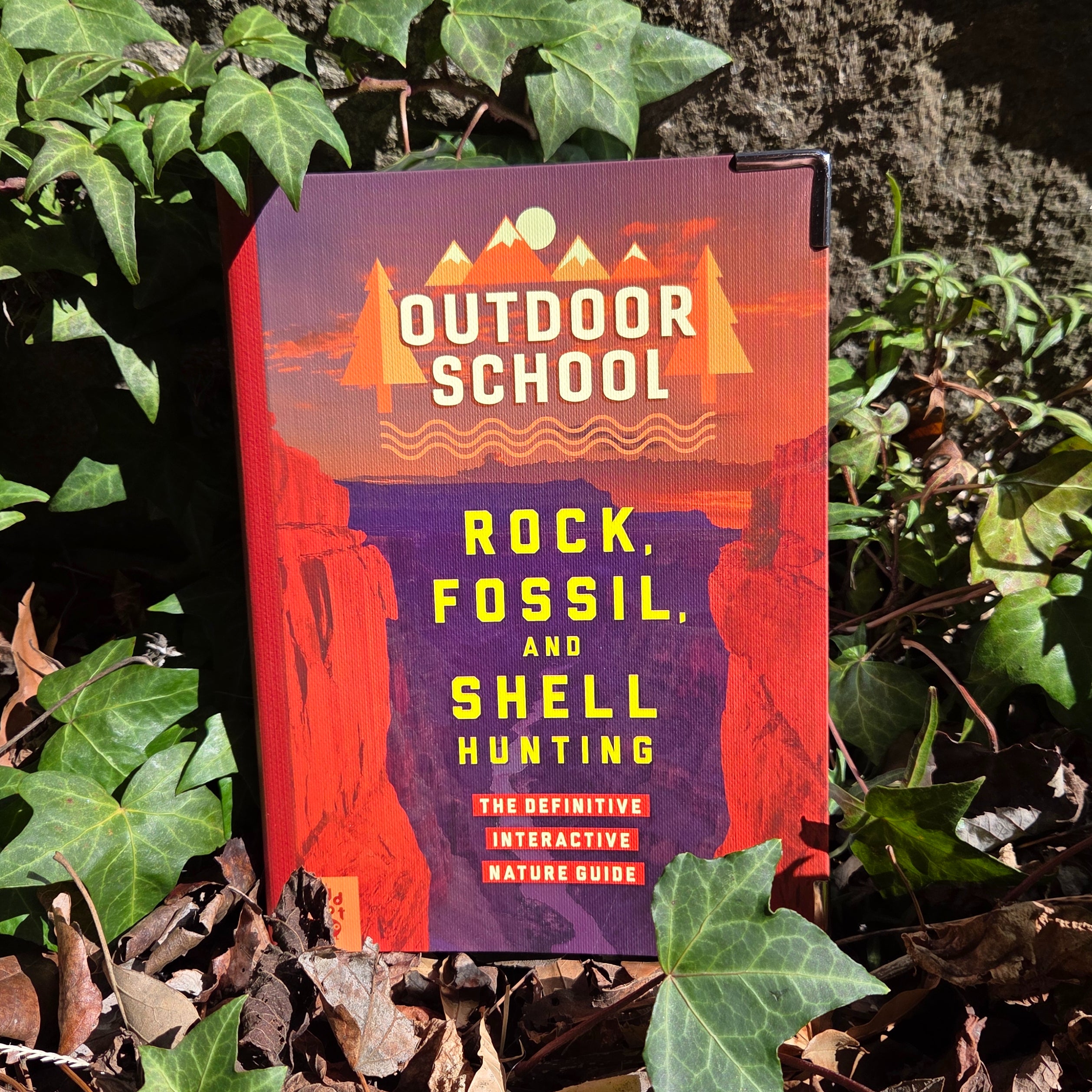 Outdoor School: Rock, Fossil, and Shell Hunting