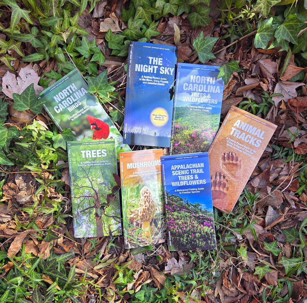 Pocket Naturalist Guide