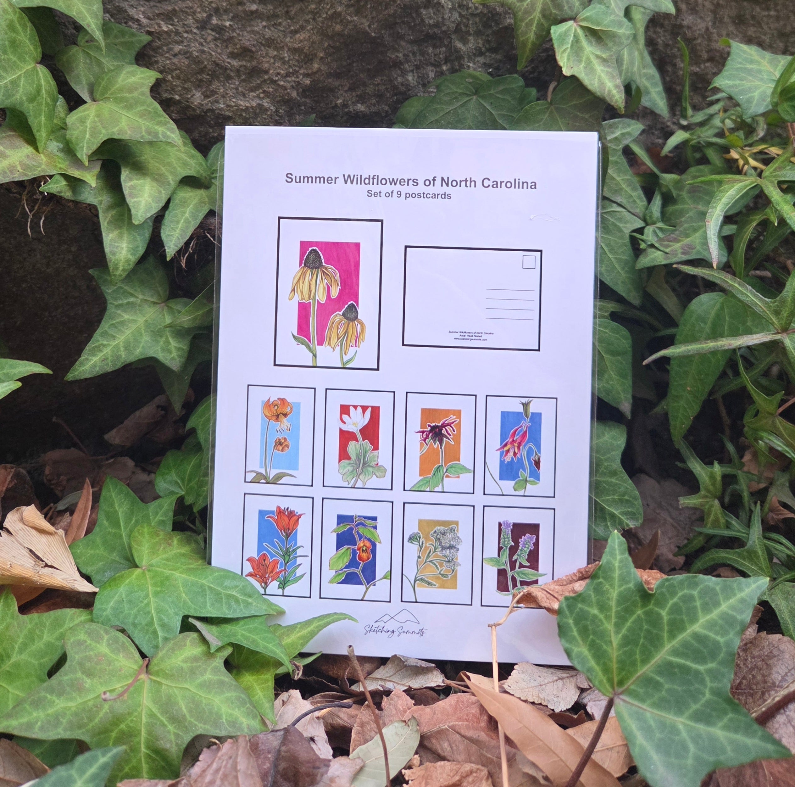 Summer Wildflowers of North Carolina Postcards