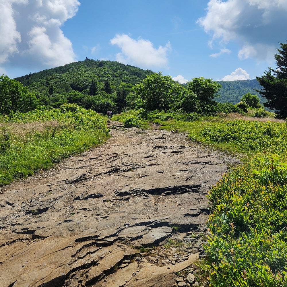 Private Half Day Hike Gift Certificate