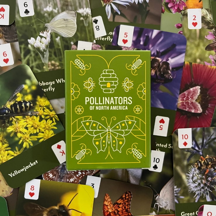 Pollinators of North America Playing Cards