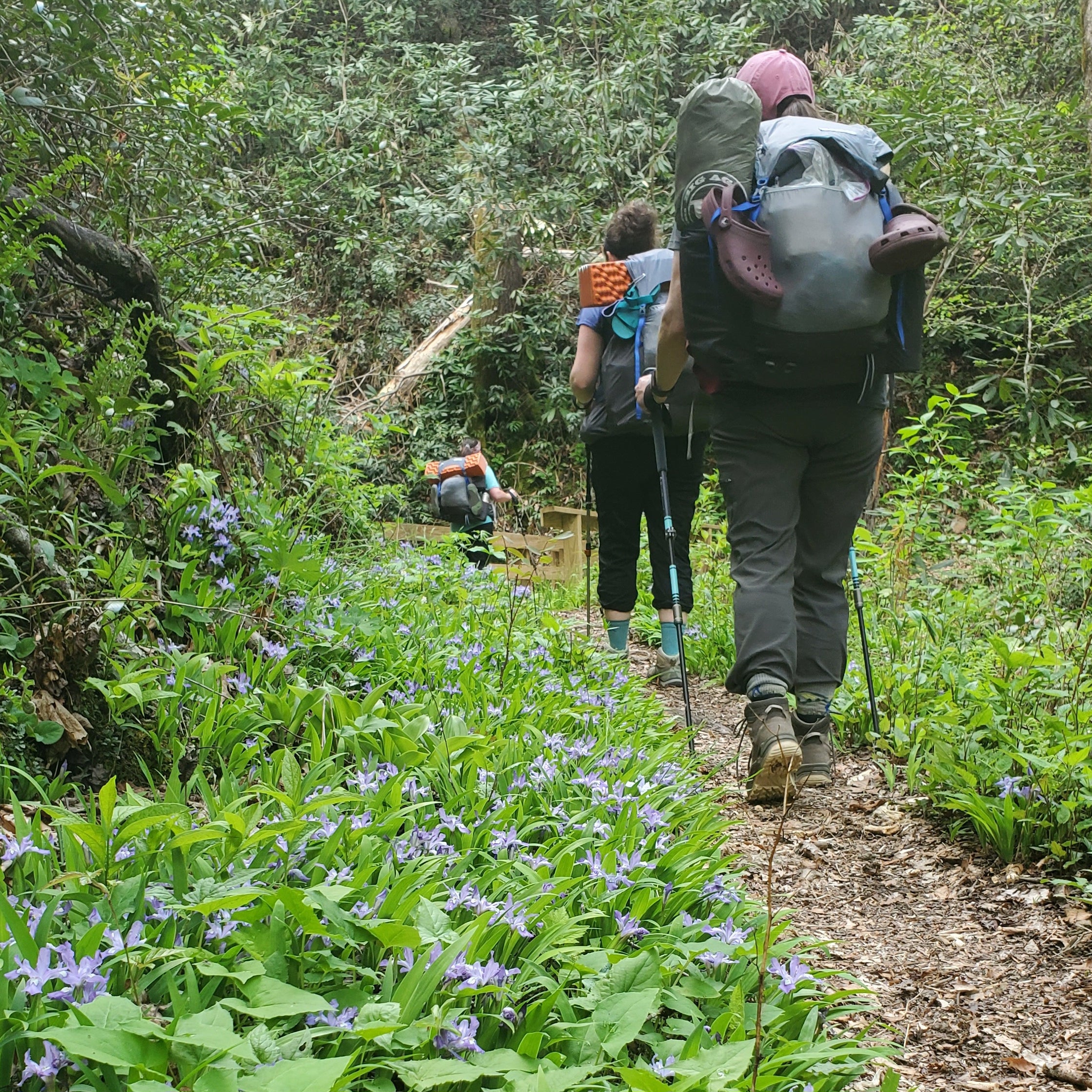 Backpacking 101 Course