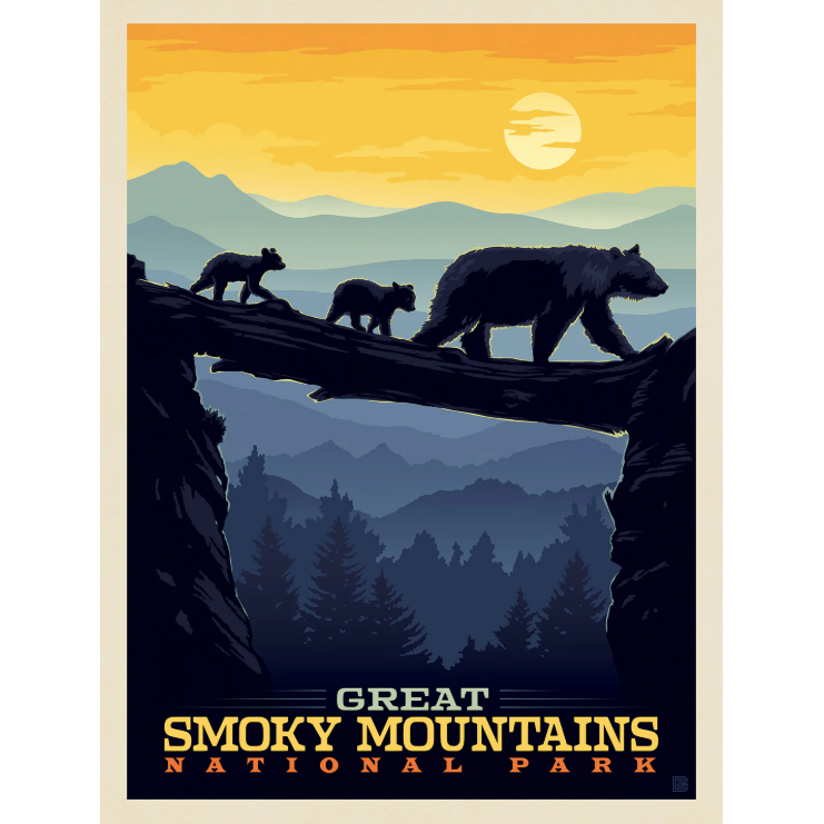 Great Smoky Mountains Bear Puzzle