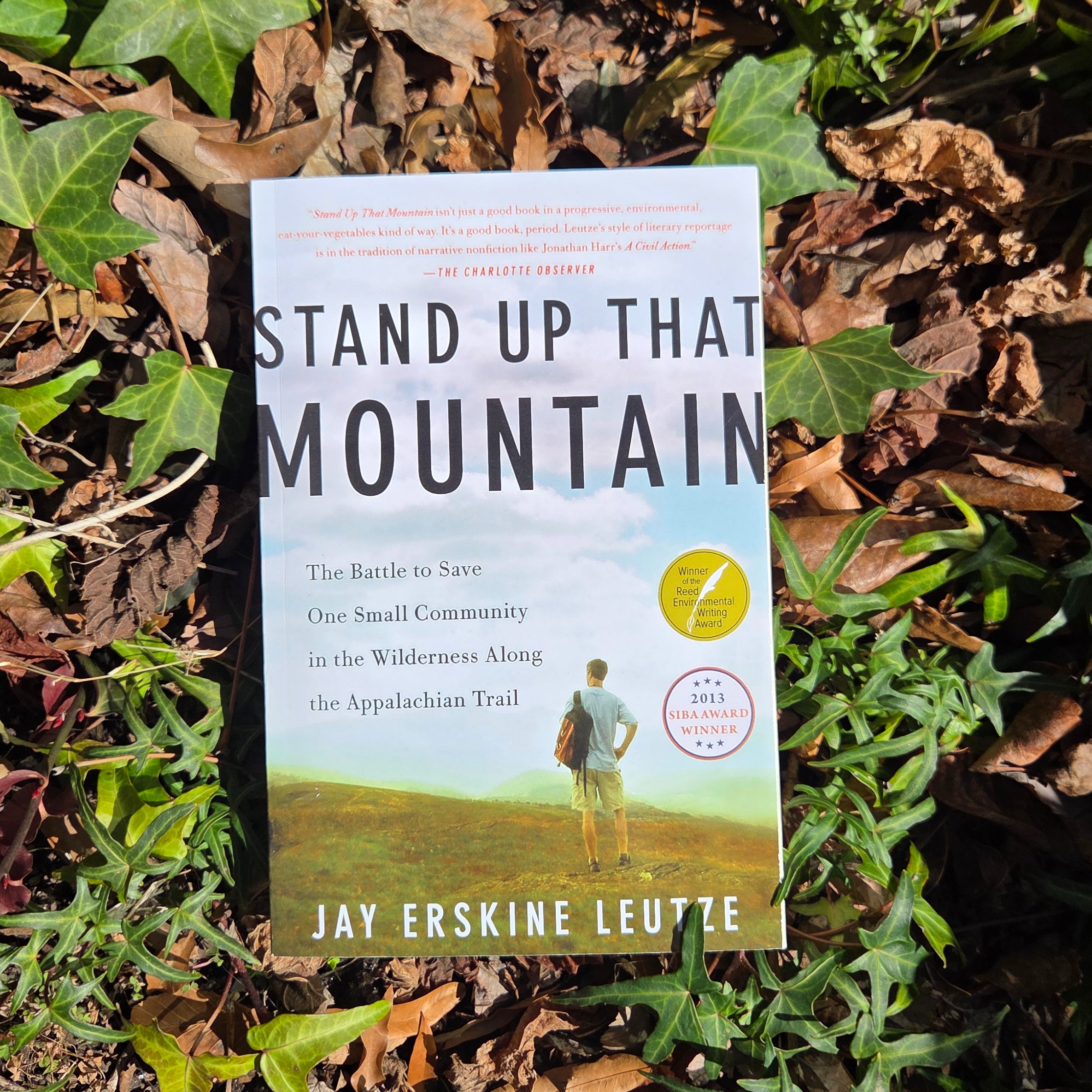 Stand Up That Mountain