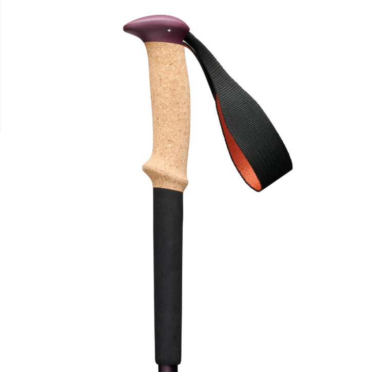 Black Diamond Trail Cork Trekking Poles