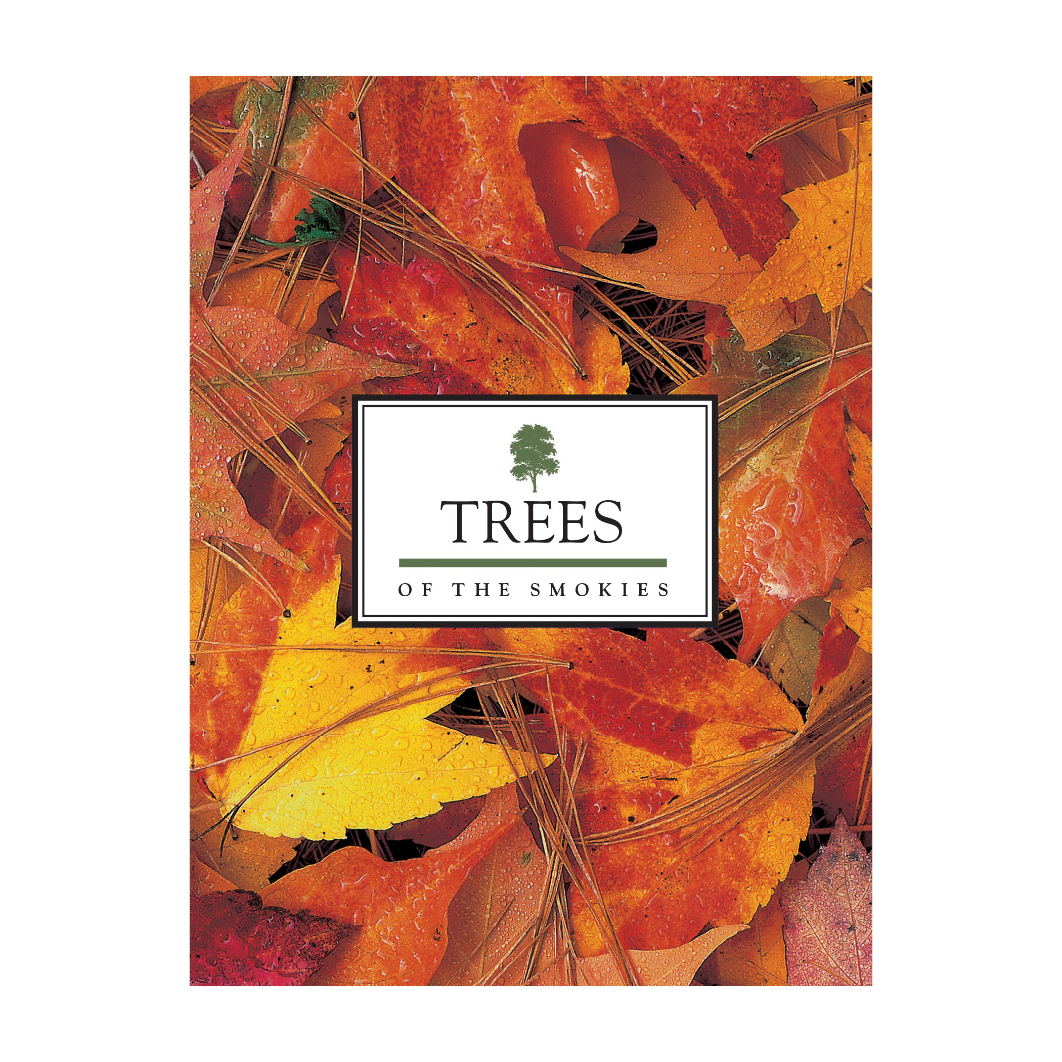 Trees of the Smokies