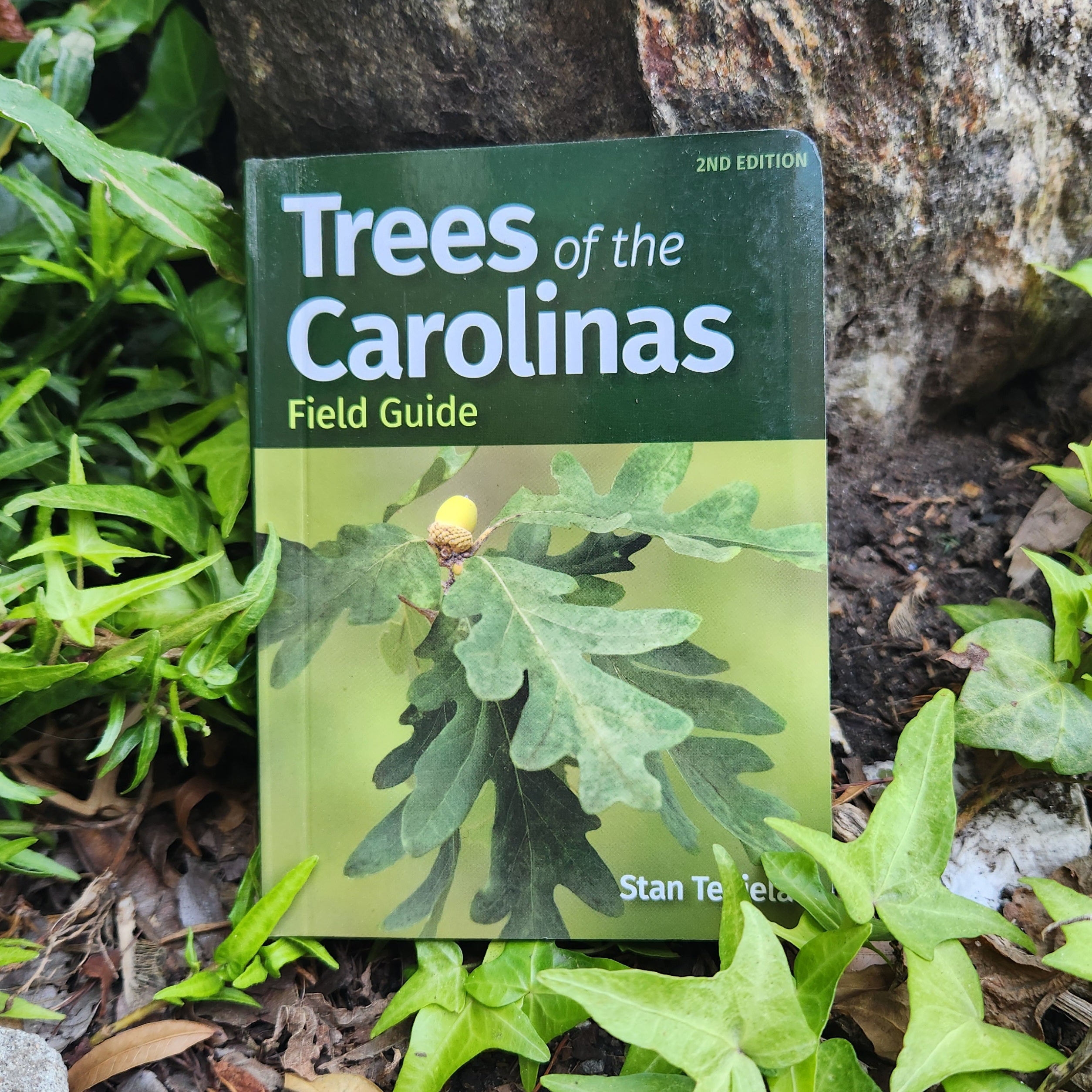 Trees of the Carolinas Field Guide