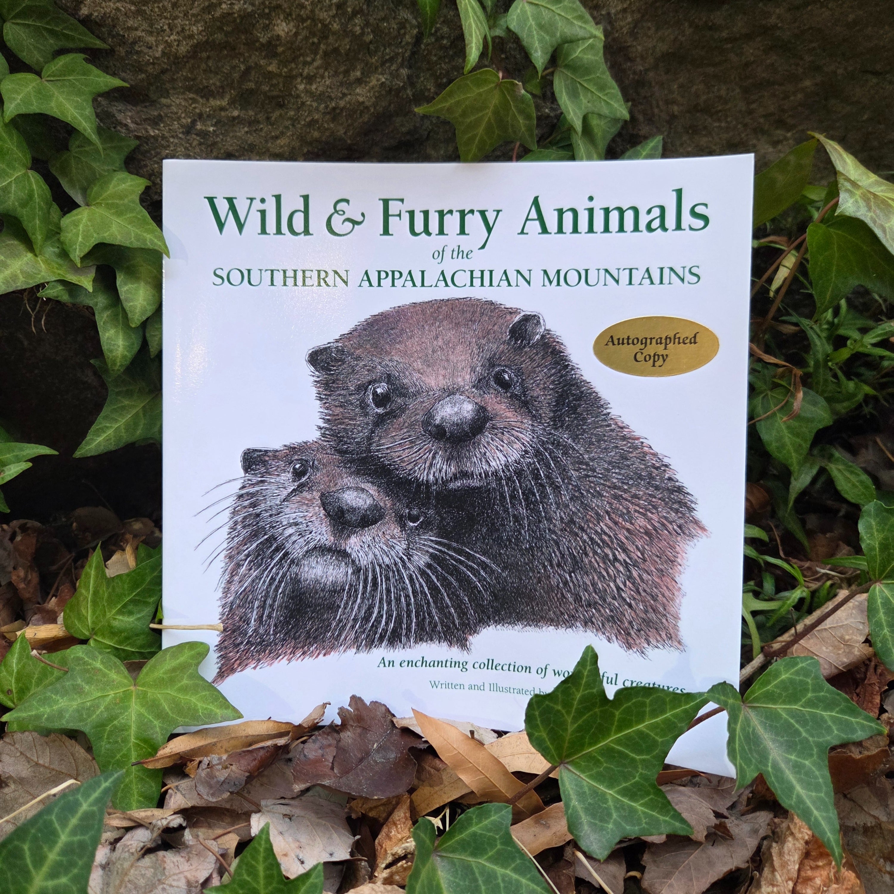 Wild & Furry Animals of the Southern Appalachian Mountains