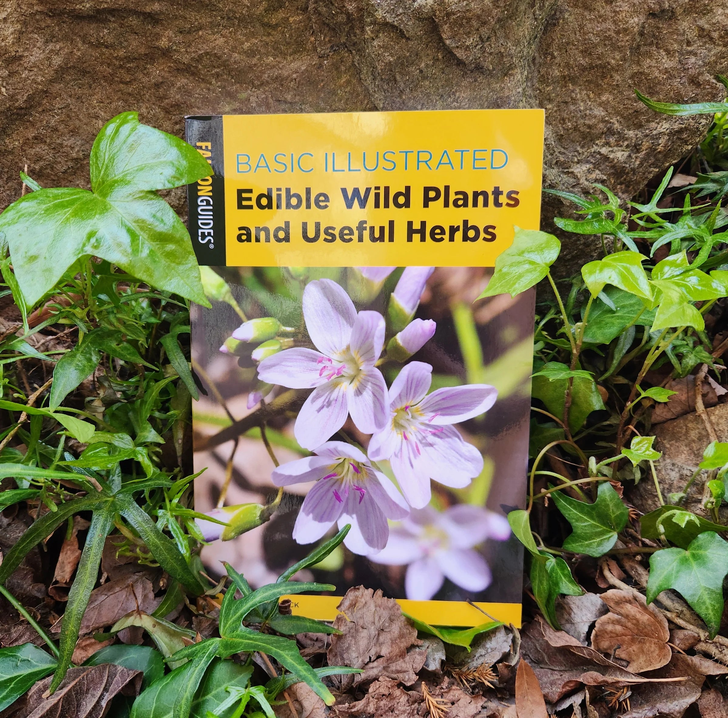 Basic Illustrated Edible Wild Plants and Useful Herbs