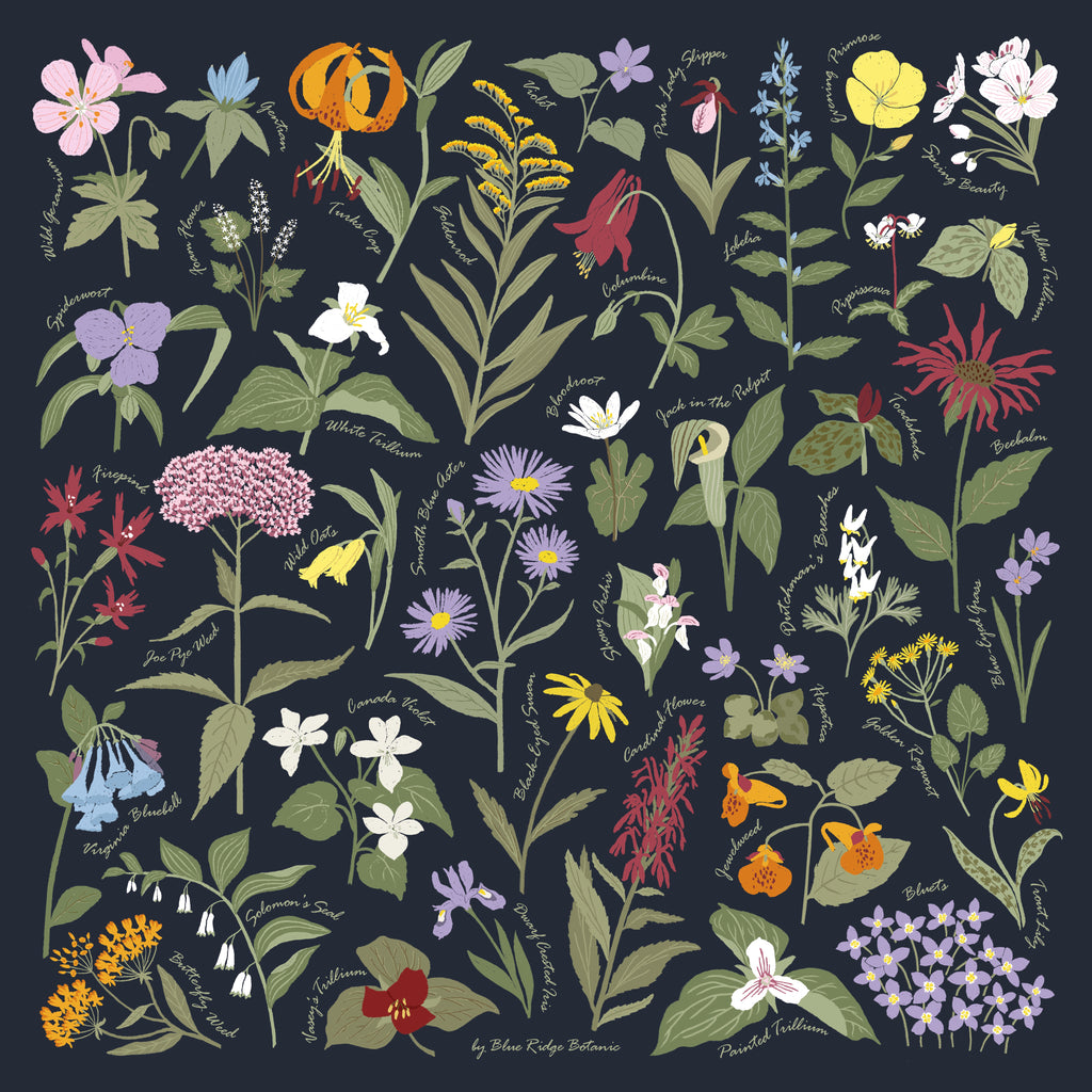 Field Guide Bandana of Appalachian Wildflowers