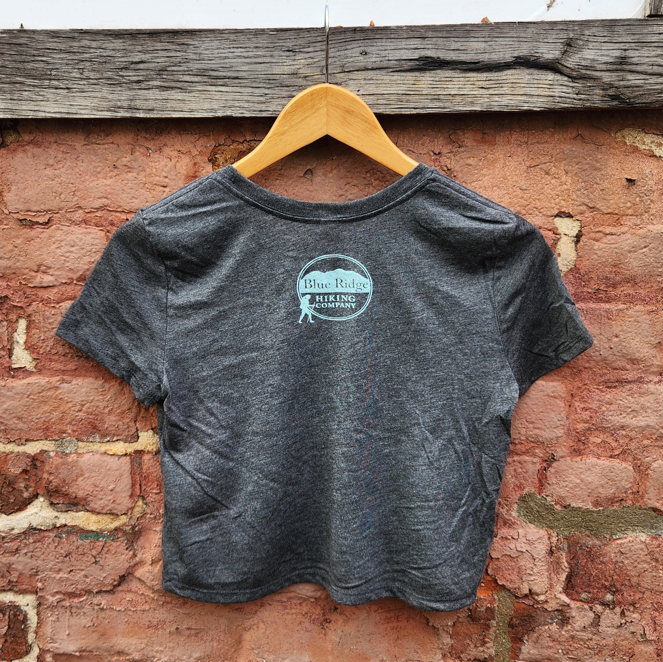 Hike Asheville Crop Tee