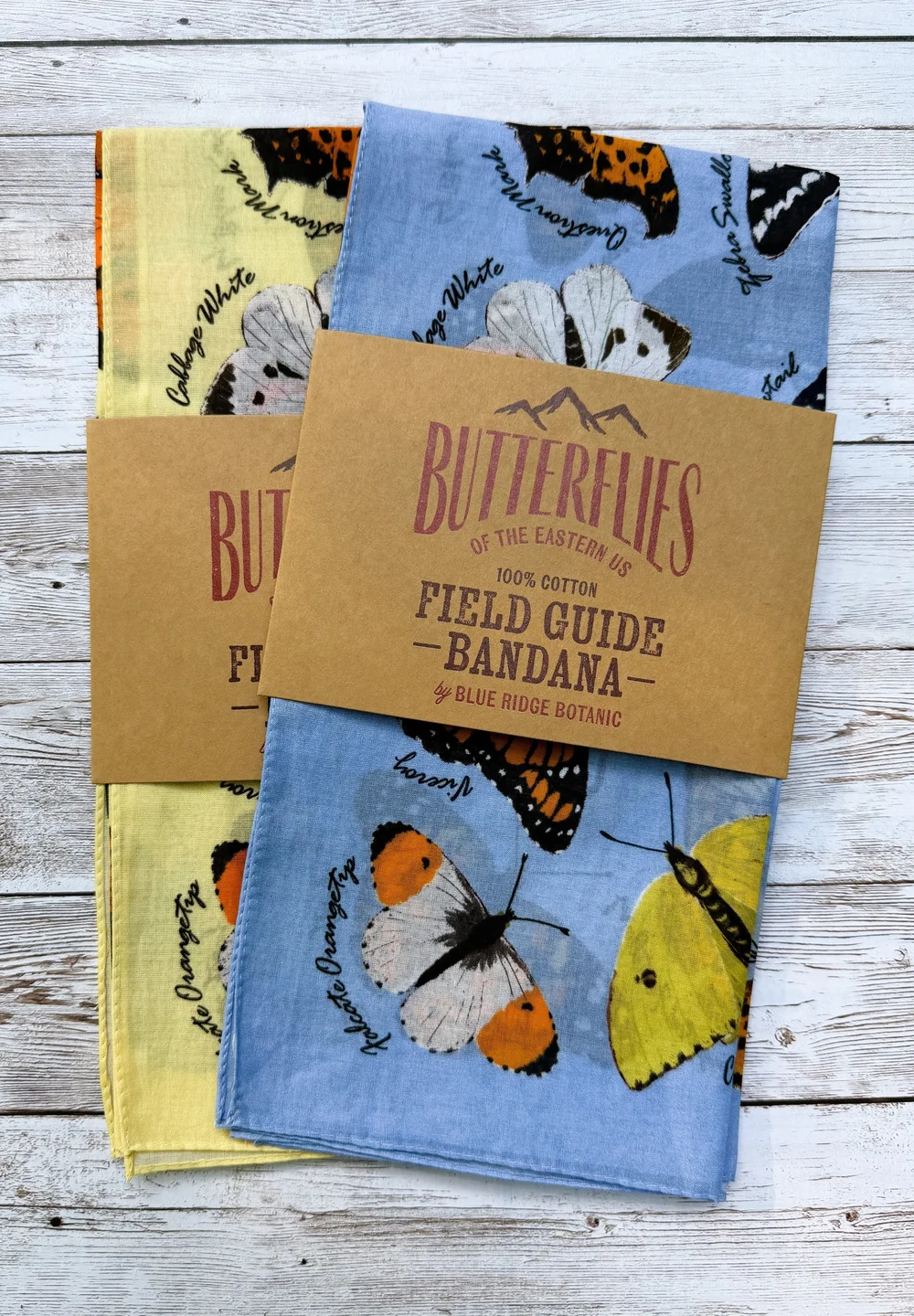 Field Guide Bandana to Eastern Butterflies