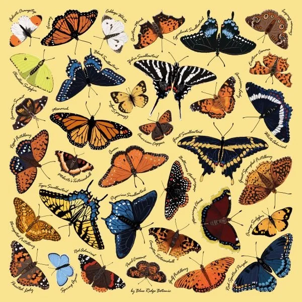Field Guide Bandana to Eastern Butterflies