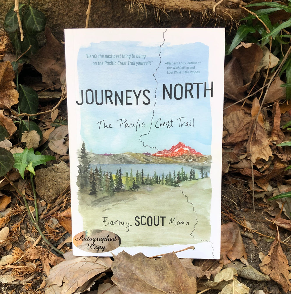 Journeys North
