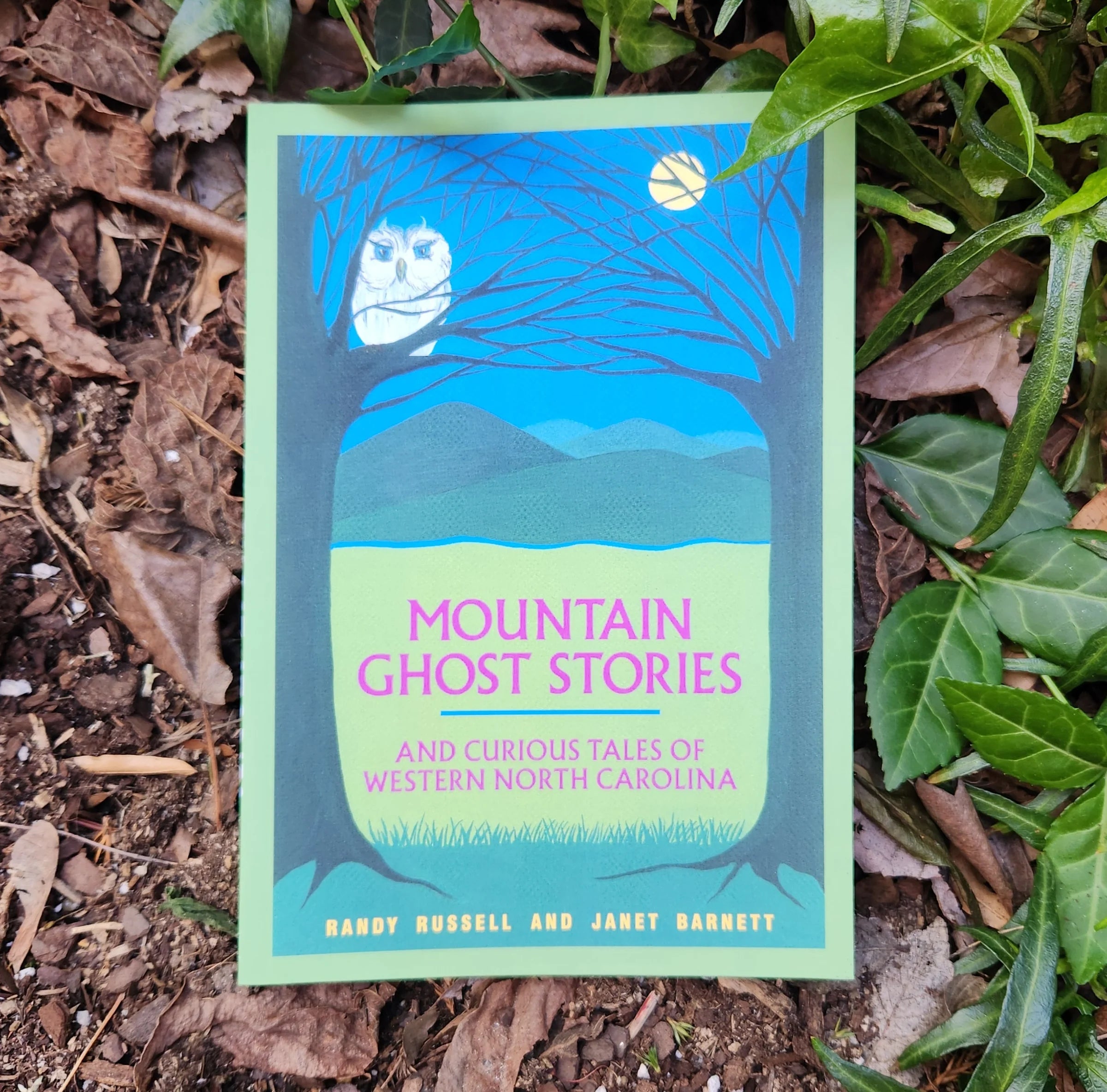 Mountain Ghost Stories and Curious Tales of Western North Carolina