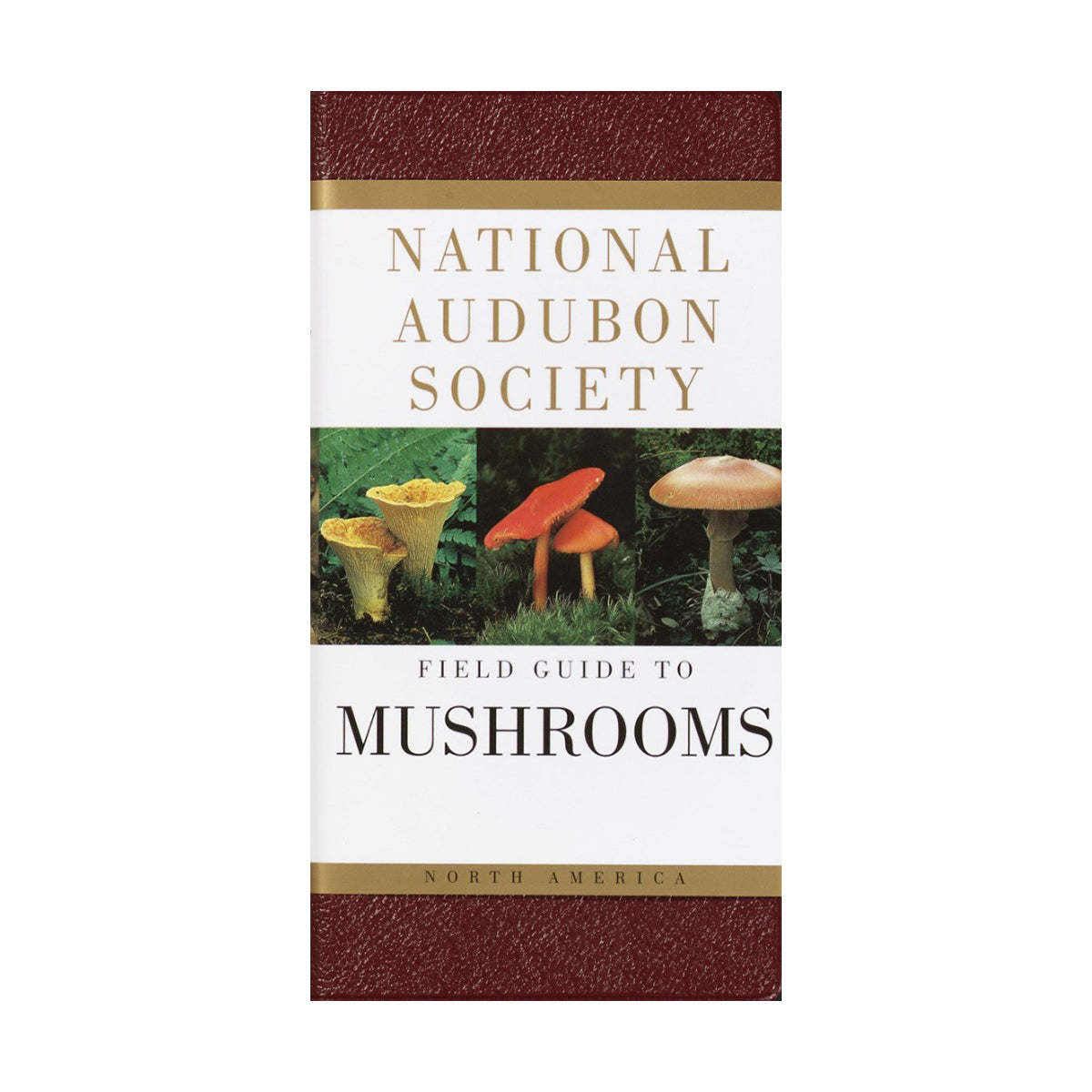 Field Guide to Mushrooms